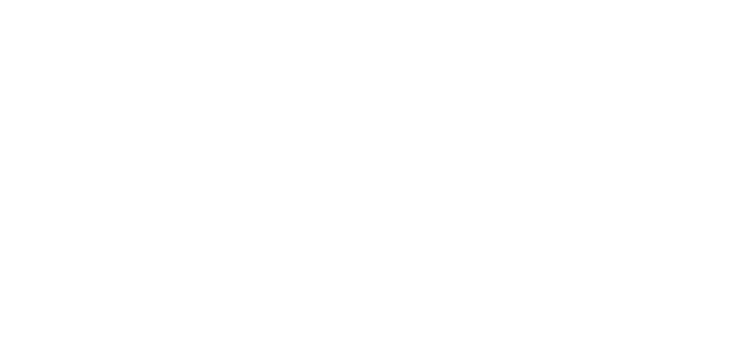dsi-logo-white